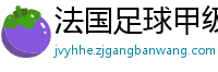 法国足球甲级联赛